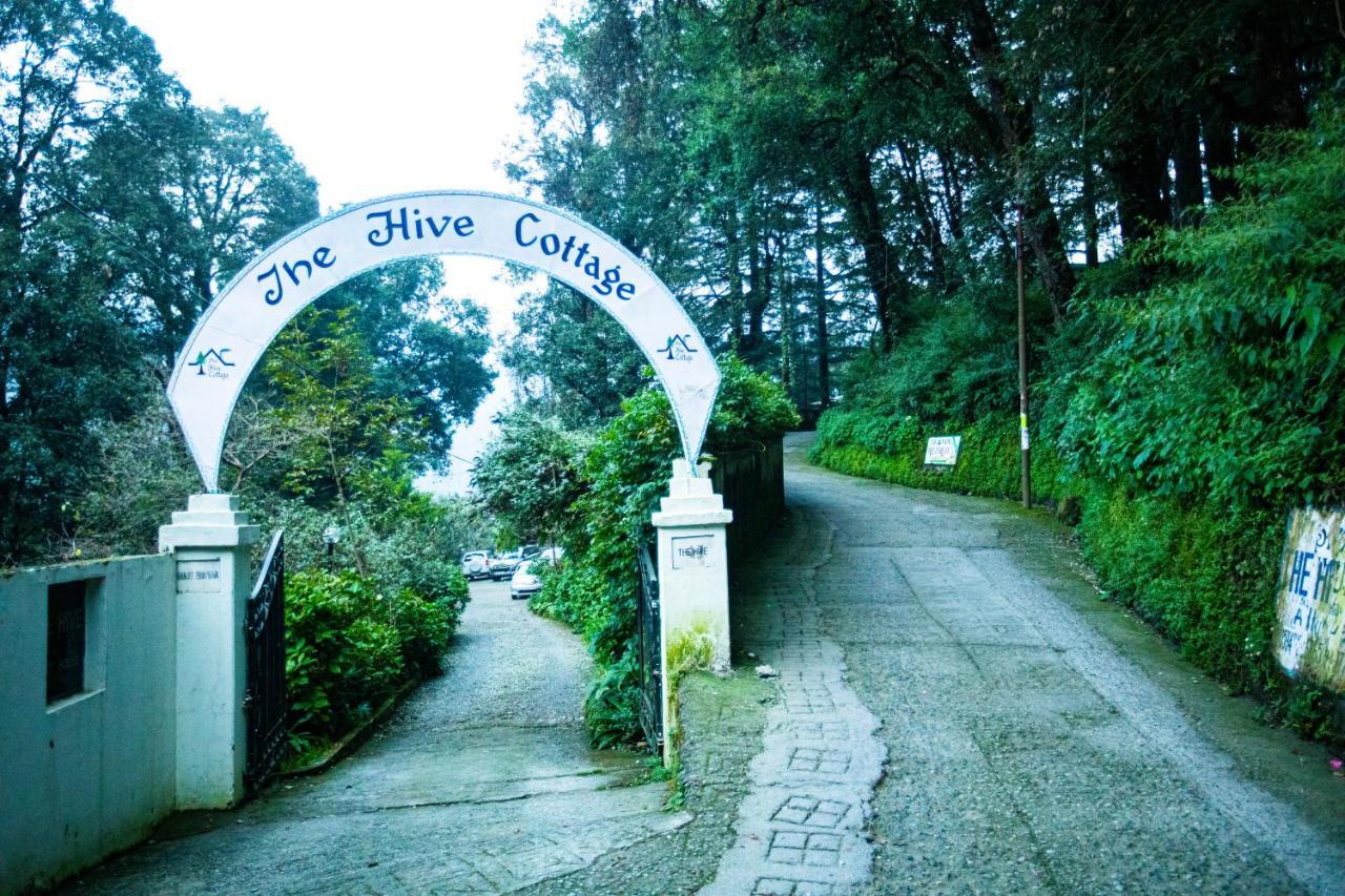 The Hive Cottage Nainital Exteriör bild