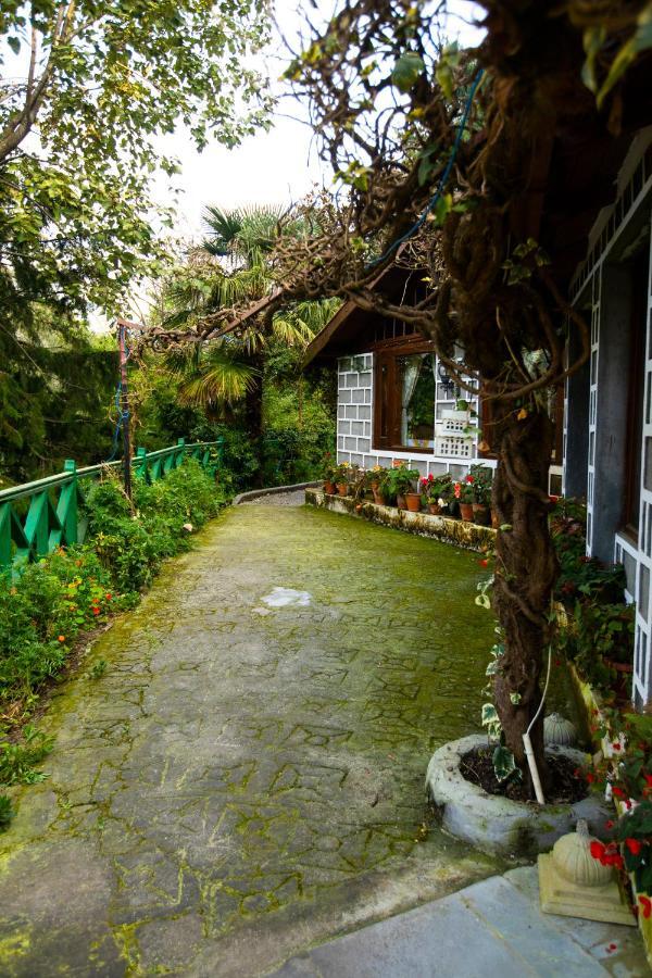 The Hive Cottage Nainital Exteriör bild